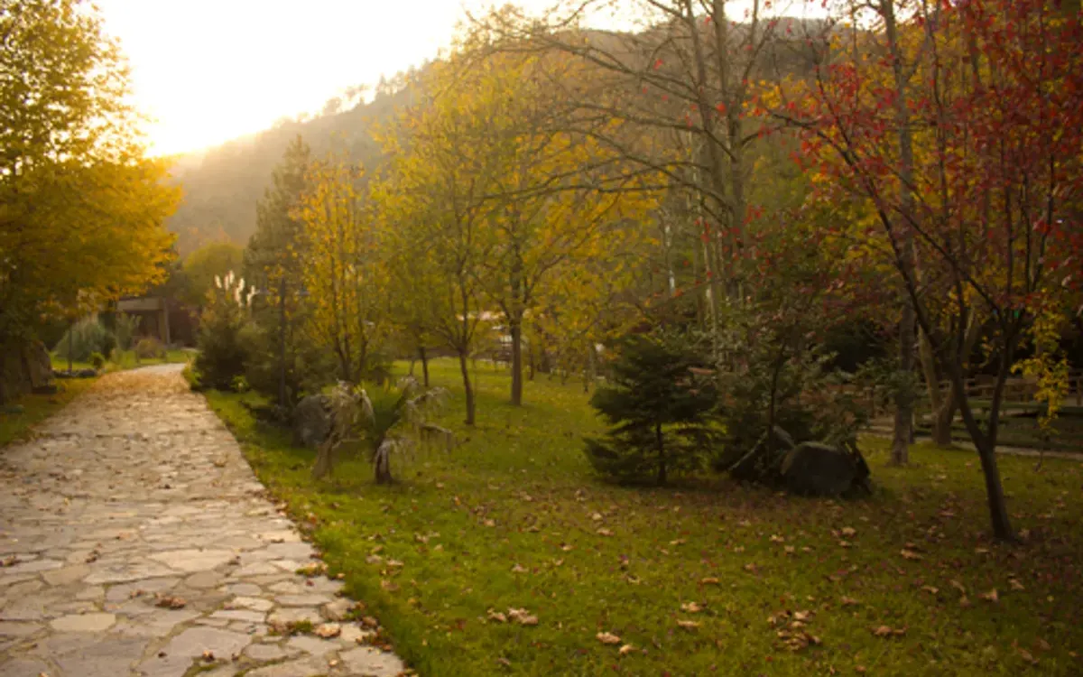 Feel & Live Hotel girişinde sonbahar ağaçları arasında taş yol